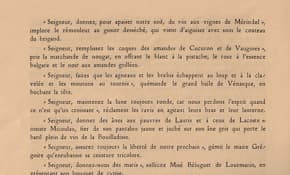Extrait numérisé (placeholder)